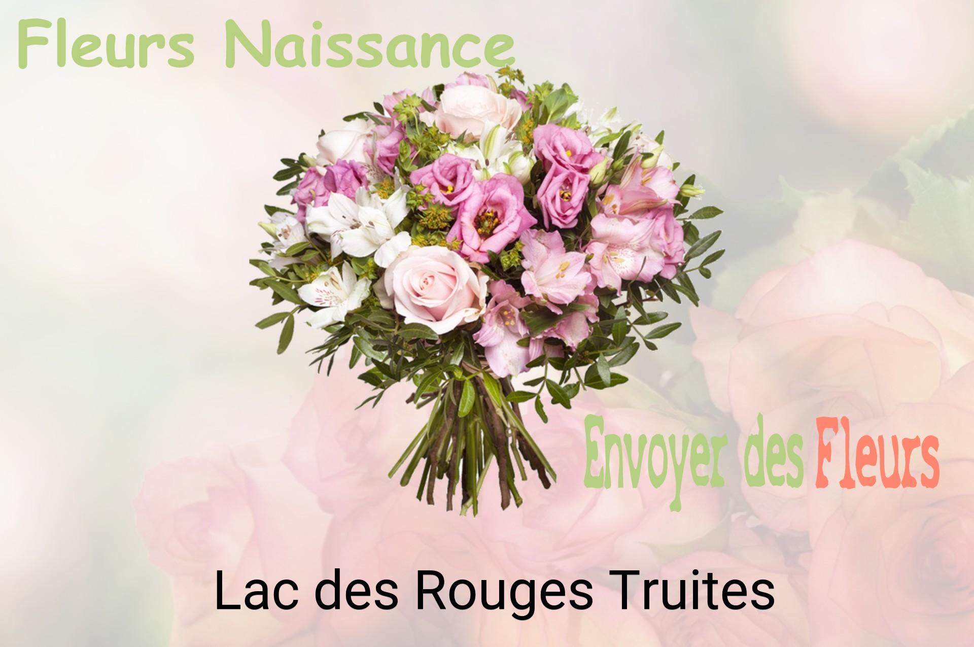 Bouquet de fleurs de naissance livré à Lac-des-Rouges-Truites